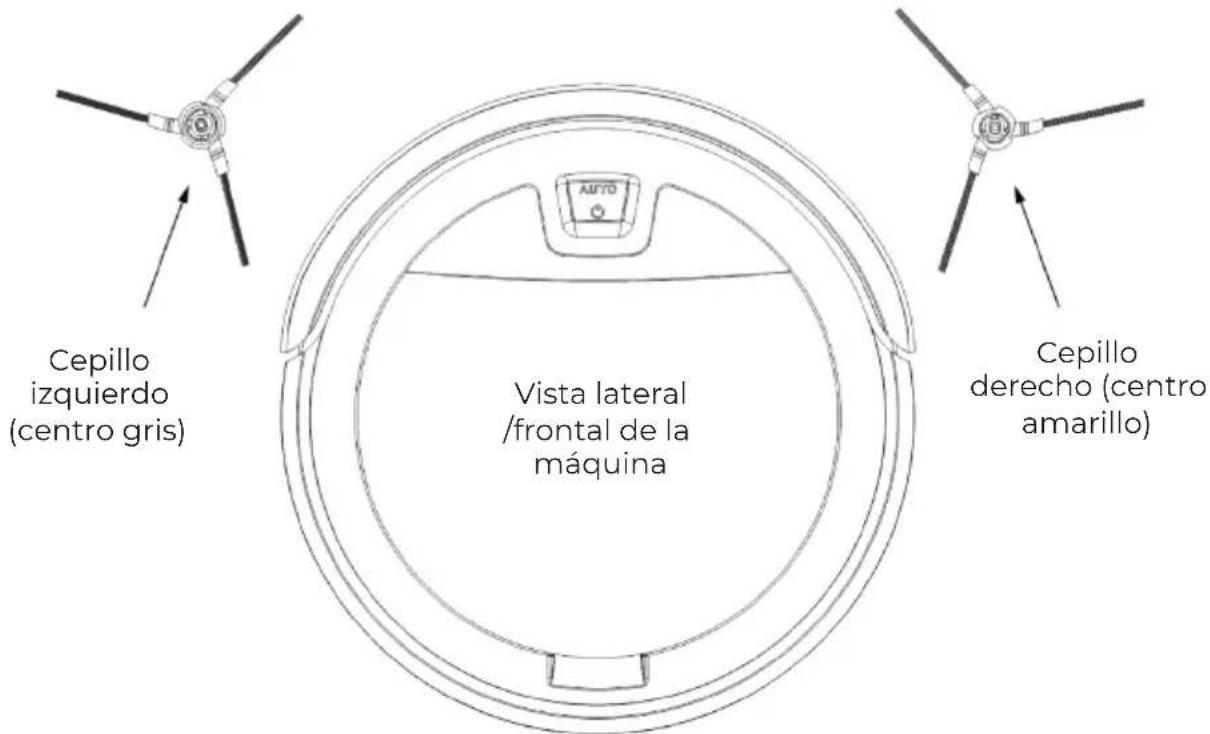 Prixton Siesta - Uso del cepillo lateral - 1