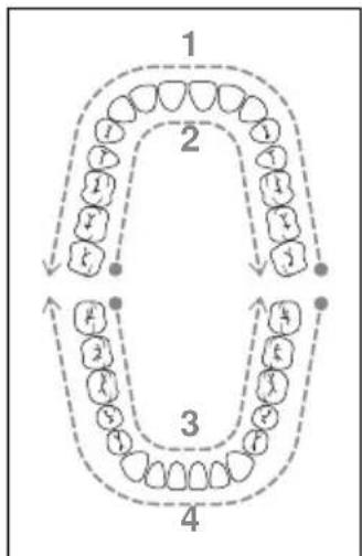 NEVADENT SMD 24 A1 - UPOZORNENIE - 2