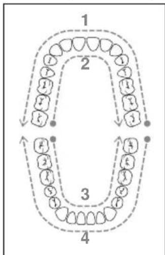 NEVADENT SMD 24 A1 - WSKAZÓWKA - 2