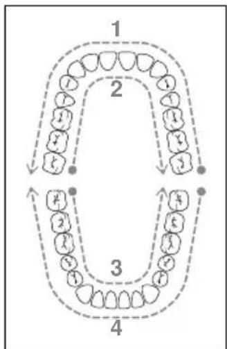 NEVADENT SMD 24 A1 - HINWEIS - 2