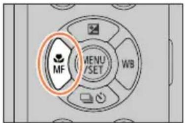 MF MENU YSET WB