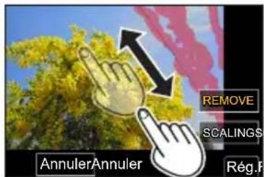 Annuler Annuler REMOVE SCALINGS Rég.F