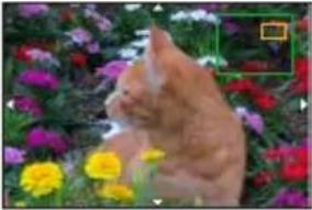 PANASONIC Lumix DC-ZS200D - Mode d'enregistrement : iA iA P A S M 89M SCN - 7