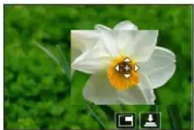 PANASONIC Lumix DC-ZS200D - MENU → [Inr.] / [Image animée] → [Mode AF] - 1