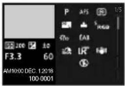 P APS 1/5 F3.3 60 AM1000 DEC. 12018 100-0001