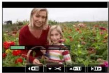 PANASONIC Lumix DC-ZS200D - MENU → Lect.] → [Division vidéo] - 1