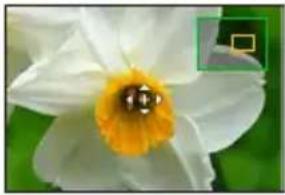 PANASONIC Lumix DC-ZS200D - MENU → [Inr.] / [Image animée] → [Mode AF] - 7