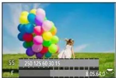 PANASONIC Lumix DC-ZS200D - Lors du réglage du flou artistique en arrière-plan - 1