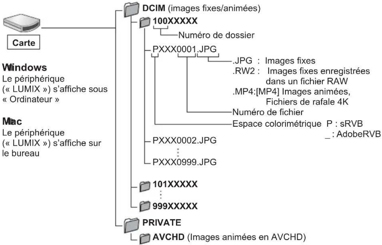 PANASONIC Lumix DC-ZS200D - Copie sur un ordinateur sans utiliser « PHOTOfunSTUDIO » - 1