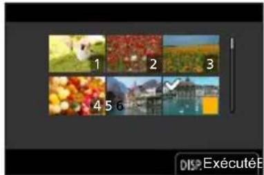 PANASONIC Lumix DC-ZS200D - Lors de la sélection de [Sélection multi.] - 1