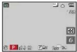 PANASONIC Lumix DC-ZS200D - Pendant la lecture - 1