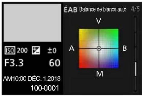 ÉAB Balance de blancs auto 4/5 ISO 200 ±0 F3.3 60 AM10:00 DÉC. 1.2018 100-0001 V A B M