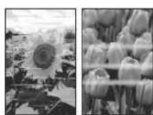CANON PIXMA TS3452 - If Print Results Are Unsatisfactory - 2