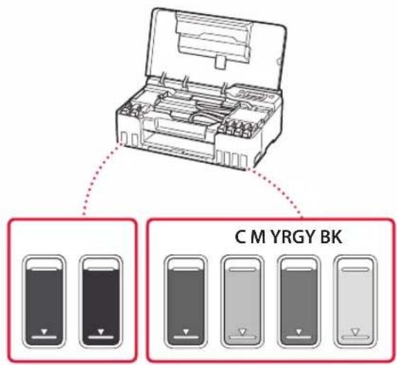 C M YRGY BK