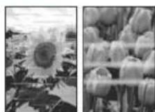 CANON PIXMA TS3440 - If Print Results Are Unsatisfactory - 2