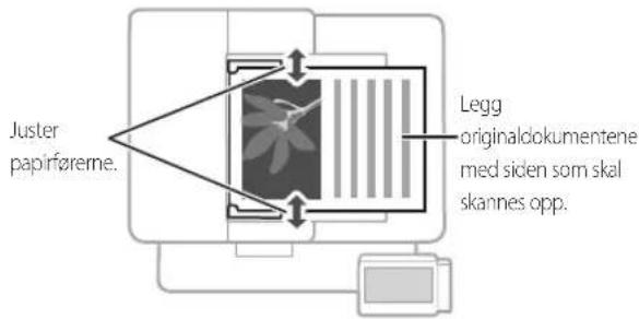 CANON i-SENSYS MF542x - Regulatoriske informationer om trådløst LAN - 3