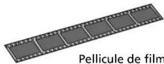 Pellicule de film