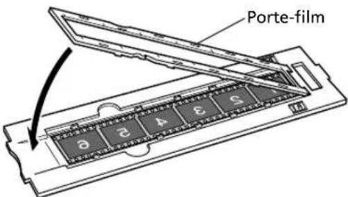 Porte-film