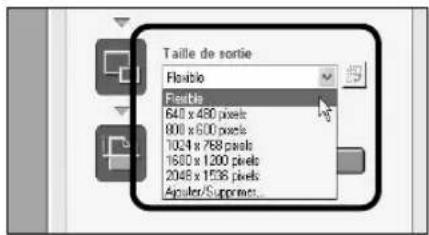 Taille de sortie Flexible 640 x 480 pixels 800 x 600 pixels 1034 x 768 pixels 1600 x 1200 pixels 2048 x 1536 pixels Apture/Suppress...