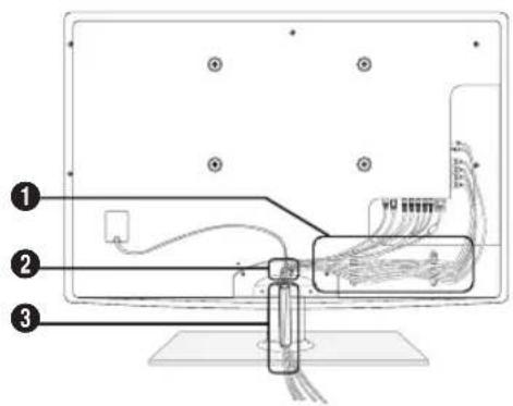 SAMSUNG PS50C6900YK - Type support - 1
