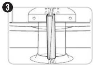 SAMSUNG PS50C6900YK - Type support - 6