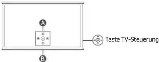 SAMSUNG TQ55LS01BGU - Verwenden des TV-Steuerung - 1