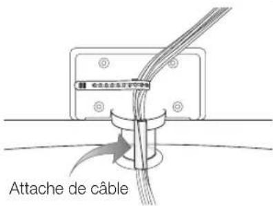 SAMSUNG LA40C550J1W - Assemblage des câbles - 1
