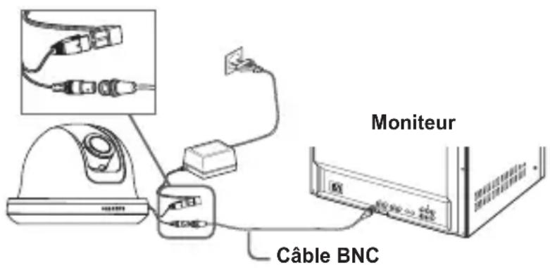 Moniteur Câble BNC