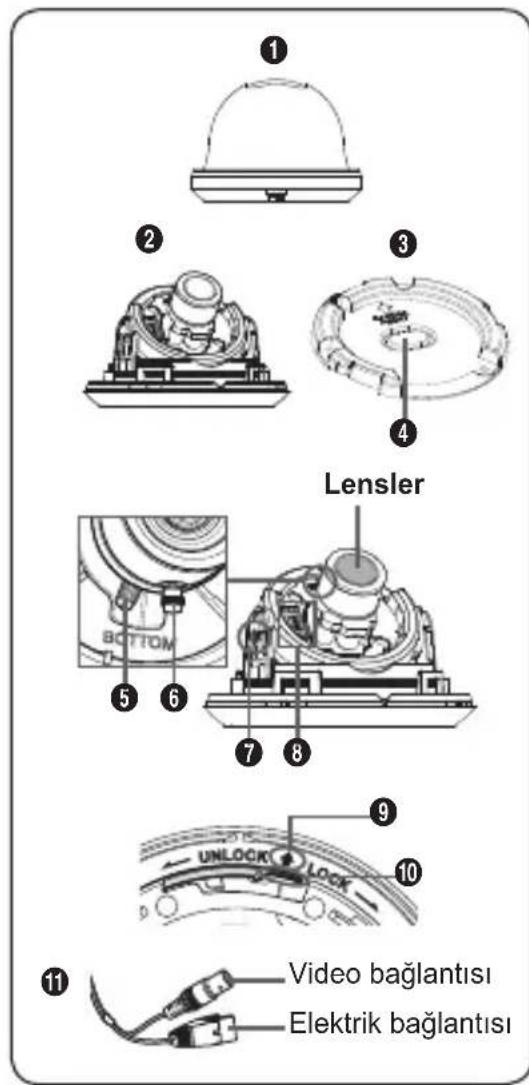 Lensler Video Continent Elektrik Continent
