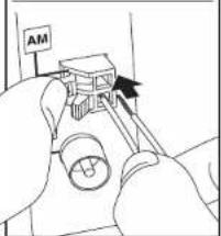 AM
