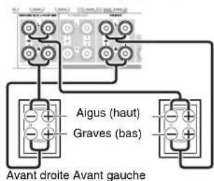 Aigus (haut) Graves (bas) Avant droite Avant gauche