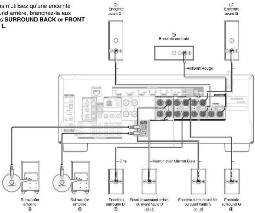 s n'utilisez qu'une enceinte and arrière, branchez-la aux s SURROUND BACK or FRONT L. ② Enceinte avant D ③ Enceinte centrale -Vert BlancRouge ① Enceinte avant G GONTO SURROUND Amplifié Subwoofer amplifié Subwoofer amplifié Enceinte surround D Enceinte surround arrière ou avant haute D [8] [12] Enceinte surround arrière ou avant haute G [7 10] Enceinte surround G Gris Marron clair Marron Bleu Enceinte surround G