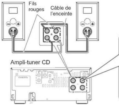 Fils rouges Câble de l'enceinte Ampli-tuner CD