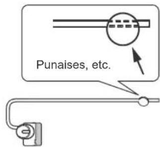 Punaises, etc.
