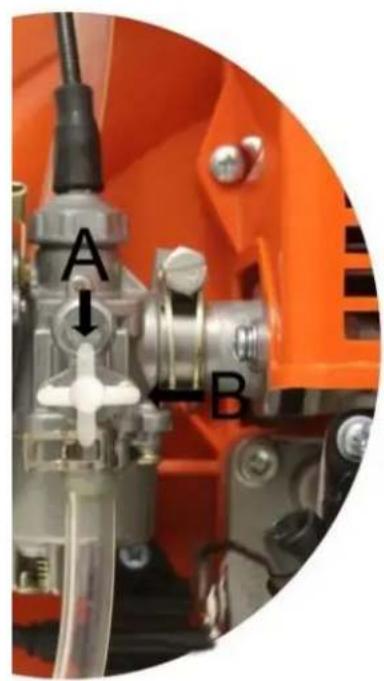 A B
