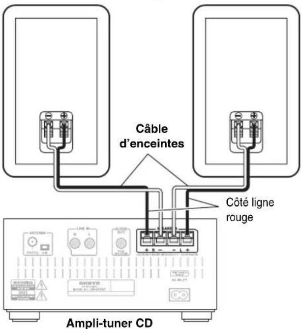 Câble d'enceintes Côté ligne rouge Ampli-tuner CD