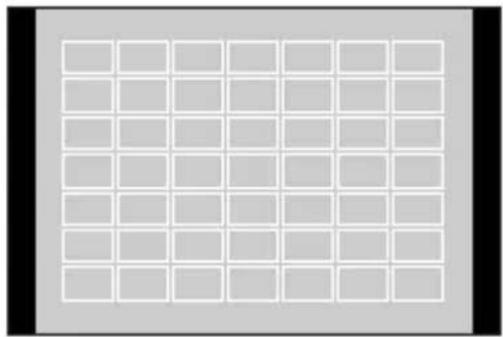 PANASONIC Lumix DC-G100D - [49-zones] - 1