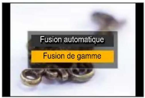 Fusion automatique Fusion de gamme