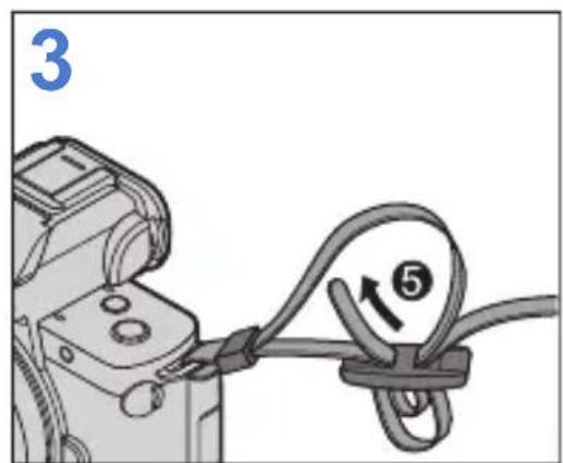 3 ⑤