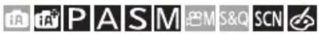 iA iPASM MS&Q SCN