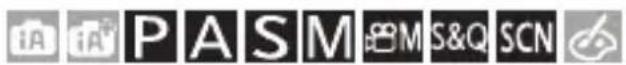 iA iB PASM MS&Q SCN