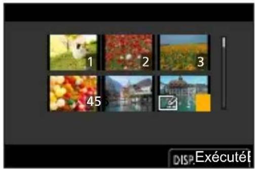 PANASONIC Lumix DC-G100D - Lorsque [Multi] a été sélectionné - 1