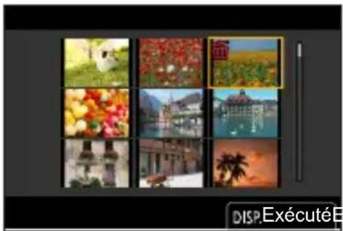 PANASONIC Lumix DC-G100D - ◆ [Effacem. multiple] - 1