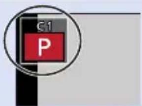C1 P