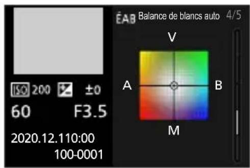 Balance de blancs auto 4/5 ISO 200 ±0 60 F3.5 2020.12.110:00 100-0001 V A B M