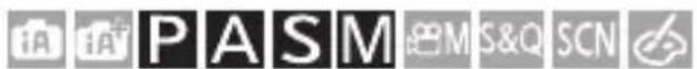 PASM eMIS&Q SCN