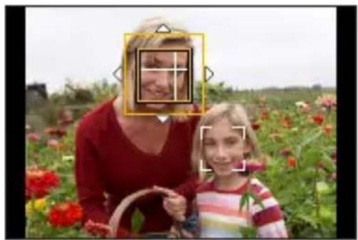 PANASONIC Lumix DC-G100D - Déplacement et modification de la taille de la zone MPA jaune - 1