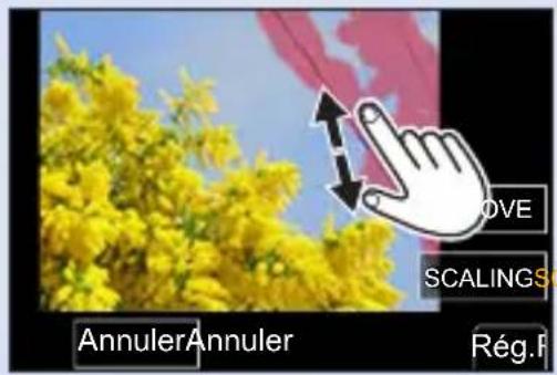 Annucler Annuler Rég.F SCALINGS MOVE