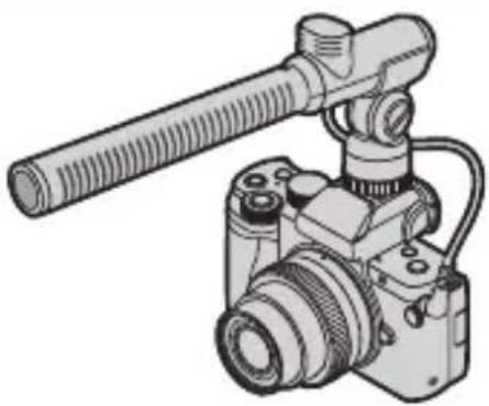 PANASONIC Lumix DC-G100D - Microphones externes (en option) - 1