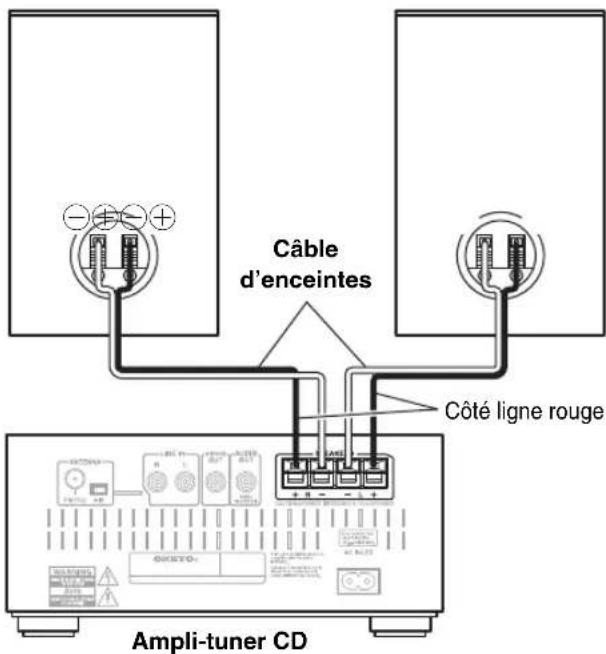 Câble d'enceintes Côté ligne rouge Ampli-tuner CD